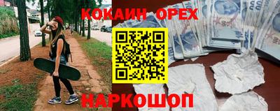 a pvp Новозыбков
