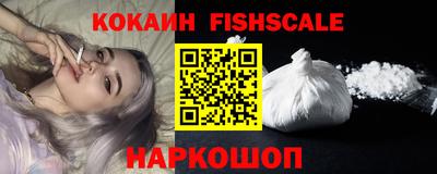 a pvp Новозыбков