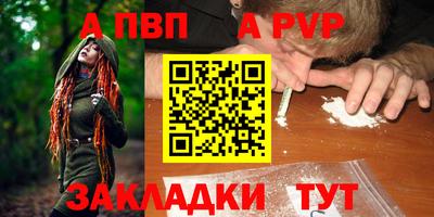 a pvp Новозыбков