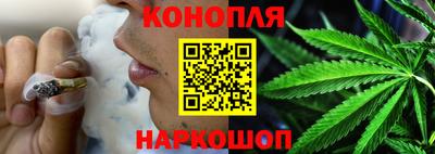 a pvp Новозыбков